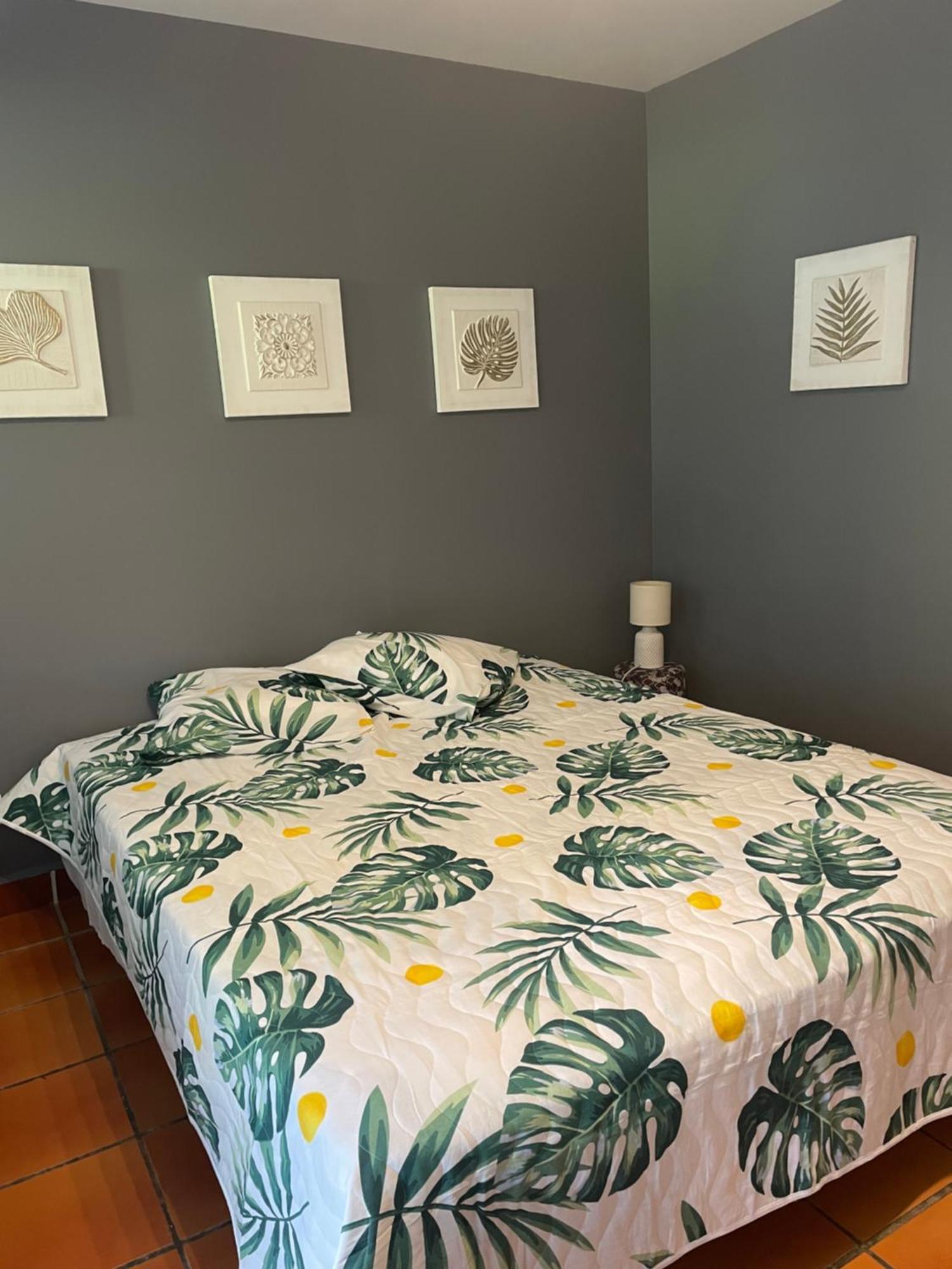 Studio Hibiscus Anse Des Rochers Saint Francois Εξωτερικό φωτογραφία